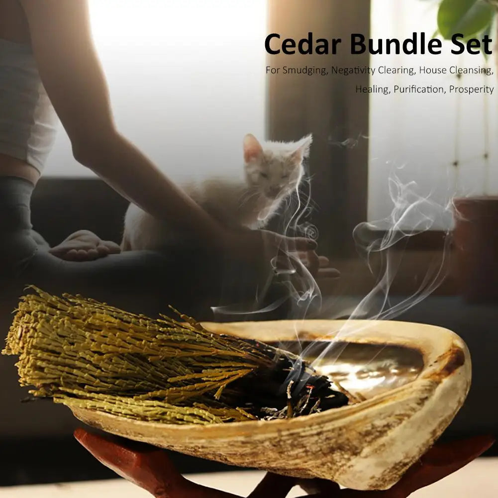 Smudging Kit with White Sage, Cedar, Rose Sage, Blue Sage, Palo Santo, Abalone & Stand, Smudge Feather