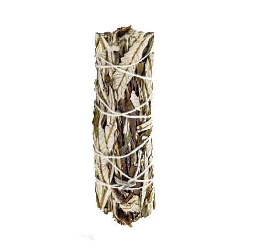 White Sage & Palo Santo for Smudging